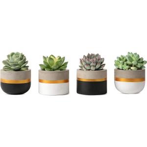 Mkono 3 Inch Mini Succulent Pots Concrete Planter Set, Modern Tiny Container for Indoor Plants, Christmas Home Office Decor Gifts for Plant Lovers (Plant NOT Included) (3.7 Inch Cement - Gold, Silver, Gray, White)