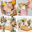 10 Pcs Dried Flowers for Crafts, Mini Dried Flowers Bouquet Bulk for Vase DIY Photo Bridesmaid Gift Birthday Decor