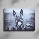 HSFFBHFBH Charming Black and White Donkey Canvas Wall Art | Funny Farm Animal Print for Rustic Home Decor Artwork | Waterproof Bathroom Picture Decor | Ready to Hang 12x16inch