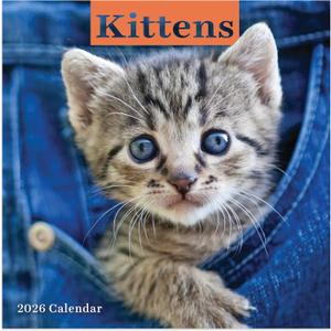 TF Publishing 2026 Kittens Mini Calendar with Monthly Grids for Appointments and Scheduling - Vertical Small Wall Calendar 2026 with Premium Gloss Paper for Home and Office Organization - 7x7in