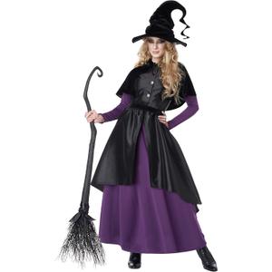 California Costumes Womens Witch's Coven Coat Dress (Large, Purple/Black)