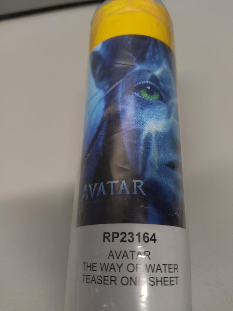 Posters 2 pcs Avatar