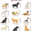 Toymany 12PCS Mini Dog Figurines Playset, Realistic Detailed Plastic Puppy Figures, Hand Painted Emulational Tiny Dogs Animals Toy Set, Cake Toppers Christmas Birthday Gift for Kids Toddlers
