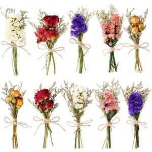 10 Pack Dried Flowers for Vase Various Mini Bouquet Dried Small Wildflowers Natural Real Flowers Bulk for Crafts DIY Wedding Decor (10, Classic Color1)