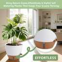 Self Watering Pots with Water Level Indicator, 12" 10" 9" 8" Large Plastic Flower Pots with Mesh Drainage Hole and Removable Saucer Reservoir for Indoor Outdoor Plants (White)