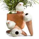 Bird Shaped Plant Watering Globes(4ps) Plants Suitable for Indoor and Outdoor Use Should be Kept Constantly Moist. The Interesting Shape Makes The Garden More Interesting and Beautiful. (white)