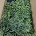 Christmas Tree,5FT Artificial Cedar Trees Topiary for Front Porch Decor,Fake Pine Shrubs Potted Plants Faux Bushes Cypress UV Resistant for Outdoor Indoor Door Offices Farmhouse Home Decor