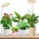 Aokrean Plant Grow Light, Full Spectrum 6.3in Plant Light for Indoor Growing, Height Adjustable 9.8"-37.4" with Auto Timer 6/12/16Hrs, 3 Optional Spectrums, 5 Brightness, Wood Grain Desk Growing Lamp
