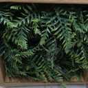 QIANYUN Fake Fern Outdoor Artificial Plants-2-Pack Artificial Outdoor Hanging Fern Faux Greenery UV Resistant Plastic Plants for Front Porch Living Room Garden Decor- Including Hanging Planters