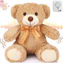Liliful Graduation Gifts Bear Stuffed Animal with Voice Recording 12 Inch Recordable Bear Plush 30 Seconds Voice Recorder Stuffed Animal Gifts for Birthday Memorial Remembrance