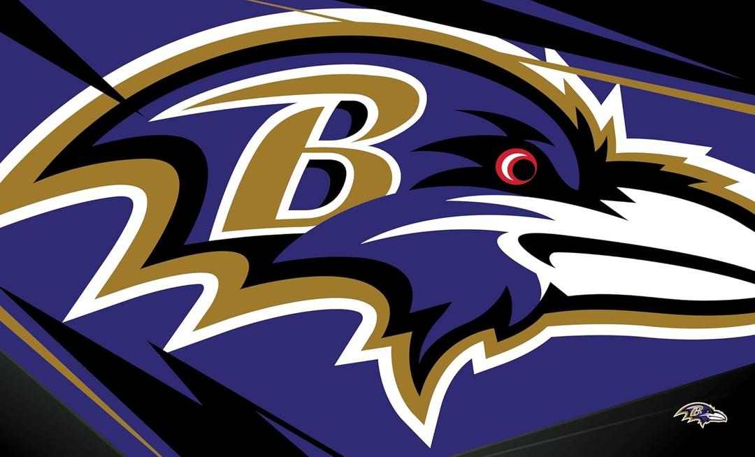 NORTHWEST The Company NFL Baltimore Ravens Washable Rug, 36" x 60", Shredder, Team Colors