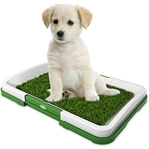 Artificial Grass Pee Pad Set for Dogs (Synthetic Plastic Grass) - Reusable Puppy Essential for Potty Training Small Pets Indoors and Outdoors by PETMAKER (Green)