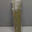 Natural Bamboo Plant Stakes (18in-30PCS)