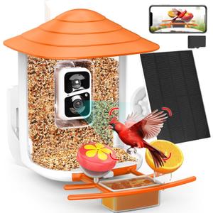 birdsnap TUC Bird Feeder with Camera 2K HD, Solar Panel 32GB Card 4-in-1 Perch, 160View Auto Detect & Notify AI Identify Video Bird Camera Wireless Outdoors Ideal Gift for Birds Lover (Orange)