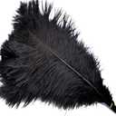 Sowder 5pcs Ostrich Feathers 16-18inch(40-45cm) Home Wedding Decoration(Black)