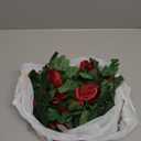 4 Packs Artificial Rose Garland: 31.48Ft Each Fake Flower Vine with Improved Color & 10 Ties for Wedding Arch Backdrop, Home Wall Party Decor, Christmas Decor, Orange