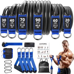 Heavy Resistance Bands for Working Out, NITEEN Resistance Bands with Handles Weight Exercise Bands for Men Women, Workout Bands with Door Anchor and Ankle Straps Strength Training Equipment (310lbs)