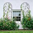 Garden Trellis for Climbing Plants, 71" H x 20" W, 2 Pack Heavy-Duty Metal Garden Trellis, Black Coated Rustproof Trellis for Plants Outdoor, Roses, Ivy, Flowers, and Vines