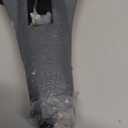 Plane 2.4GHz 4 Channel 6-axis Gyro Stabilizer RTF Glider Aircraft Plane Jet Fighter Toys,Easy to Fly Chritsmas Gift Fighter Aircraft for Adults Kids Beginners Boys,2 Battery