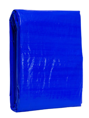 Blue Pole Trap, 16 x 20"