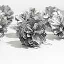 DAHI 36pcs 1.2-1.6inch Christmas Pine Cones Ornament with String Natural Rustic Pinecones Bulk Ornaments for Crafting for Home Thanksgiving Xmas Christmas Tree Decorations (Silver)