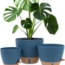 montresor 12/10/8 Inch Self Watering Pots for Indoor Plants Plastic Large Plant Pots for Outdoor Plants, Water Level Window & Spacious Reservoir Flower Pots Decorative Planter with Drainage and Tray