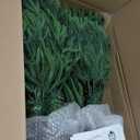 Set of 2 Artificial Norfolk Pine Tree, 4 ft Realistic Christmas Tree, Fake Potted Plants for Front Porch Outdoor Indoor Garden Christmas Decor(2 PCS, 4ft)