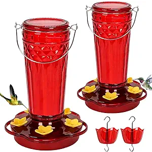 2 Pack Glass Hummingbird feeders for Outdoors 14Ounces，5 Feeding Ports Hummingbird Feeder,Wide Mouth for Easy Filling/Cleaning，Hanging for Garden Backyard Decor, Includes Ant Moat (Red，2Pack)