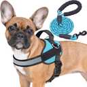 Haapaw Essential Dog Harness, No Pull Pet Vest with 3 Leash Clips, No Choke, Reflective, Adjustable and Padded, for Easy Walking and Training for Small Dogs (Medium, Blue)