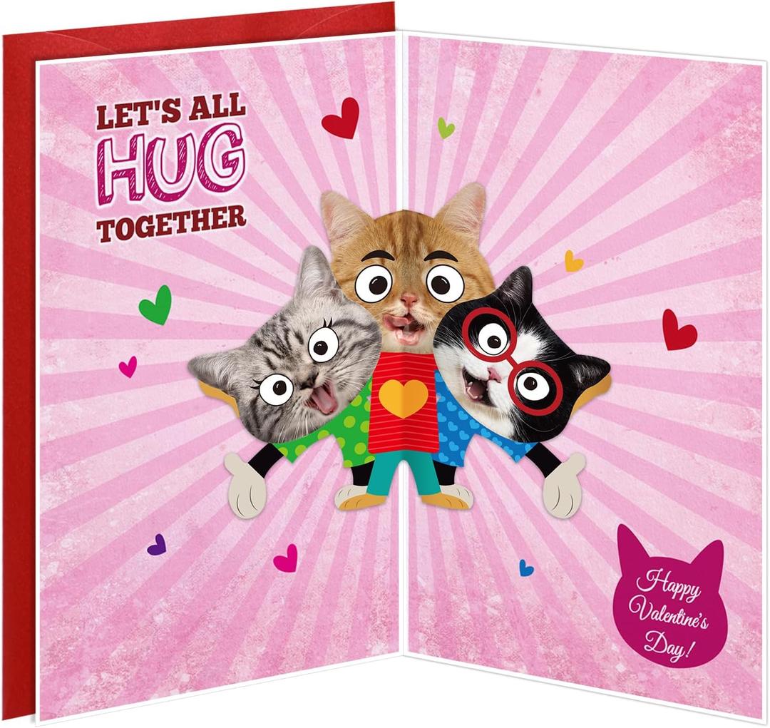 D24TIME Funny Valentines Day Cards Gifts for Him Her Boyfriend Girlfriend Husband Couple Valentines Anniversary Love Card Gift for Kids Family Friends Cat Lovers Birthday Greeting Cards with Envelopes, Pack of 2