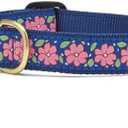 Up Country Pink Garden Pattern Dog Collar, Small (9 to 15 Inches) 5/8 Inch Narrow Width