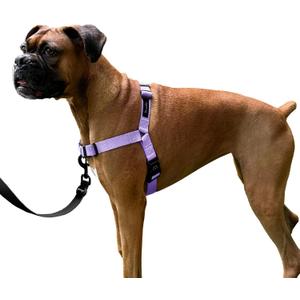 ShawnCo Dream Walk No-Pull Dog Harness- Adjustable, Comfortable, Easy to Use Pet Halter to Help Stop Pulling for Small, Medium and Large Dogs (ICY Lilac, S)