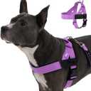 DF Co. Dog Harness | Chafe Resistant Webbing, Adjustable Neck & Chest, and Heavy Duty D-Ring | Sturdy, Comfortable, Easy to Use | Purple, Size: XL