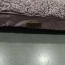 Orthopedic XL Dog Bed for Crate/Extra Large Dogs, Removable Washable Cover 41x27