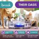 Brook Glass Pet Fountain (90oz/2.7L) Cat & Dog Water Fountain Glass Cat Fountain & Automatic Water Dispenser for Drinking