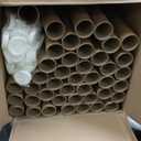 AVIDITI Cardboard Tubes with Caps, 24"L x 2"W x 2"H, Pack of 50 | Poster Tube for Mailing and Storage of Blueprints, Artwork, Crafts, Long Art Holder, 24 inches