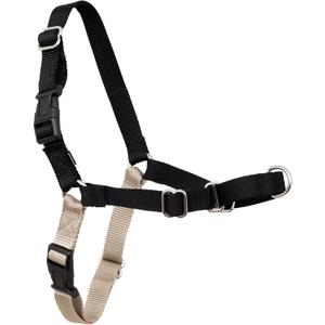 PetSafe Easy Walk Harness for Dogs - Pull-Free Walks - Patented Martingale Loop Design - Front Chest Leash Attachment - Comfort Straps - Breathable Harness Design - Petite/Small, Black/Silver