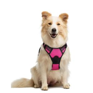 rabbitgoo Dog Harness No Pull with 2 Leash Clips, Adjustable Soft Padded, Reflective Oxford No Choke Pet Vest with Easy Control Handle for Large Dogs, Hot Pink, L