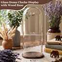 22'' × 8.66'' Glass Dome Cloche Display with Wood Base, Clear Display Jar