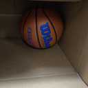 Wilson Evolution Basketballs