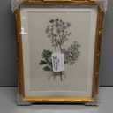 InSimSea Gold Bamboo Framed Canvas Wall Art, Kitchen Herbs Botanical Paintings, Antique Vintage Plant Picture Frame with Mat, Victorian Home Wall Decor for Living Room Bedroom, 11x14inch