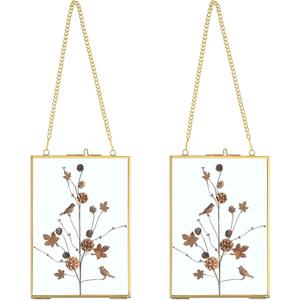 JUXYES Set of 2 Wall Hanging Brass Frames for Pressed Flowers, Double Glass Hanging Picture Artwork Display Frame, Vertical Gold Floating Style Gallery Wall Frame for Photo Picture Poster etc, 5x7 Inches