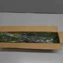 20 Pcs Christmas Norfolk Pine Branches -18" Real Touch Artificial Norfolk Pine Branch Faux Plants Stem Fake Greenery Pine Picks for Vase DIY Crafts Garland Wreath Home Indoor Outdoor Decoration