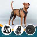 Dog Knee Brace for torn acl hind leg with Adjustable Hinge Stabilizer, Dog back brace for Osteoarthritis, Dog leg brace Support for Cruciate Ligament Injury,Recovery After,Patent Pending(Right Leg,L)