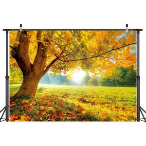 LYWYGG 10x8FT Autumn Golden Maple Deciduous Photography Background Fall Photo Backdrop Wedding Backdrop Newborn Photography Backdrops CP-189-1008