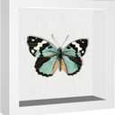 Califortree 5x5 Small Shadow Box Frame with Soft Linen Back - Metal Push Pins Included, Memory Shadow Box Display Case for Bouquet Awards Medals Wedding Photos and More, White