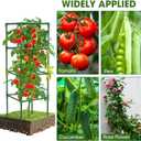 3 Pack Tomato Cages,Square Tomato Plant Stakes Support Cages Trellis for Garden Climbing Vegetables Flowers Fruits,Extra Bold (green)