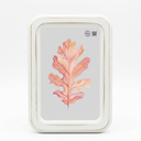 HH 118in Clear Wall Sign Leaf Yellow