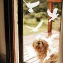 Window Decals to Prevent Bird Strikes, 32 pcs Bird Window Clings Anti Collision Window Sticker for Glass Door