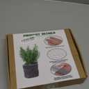 6 Pack 5 Gallon Gopher Baskets - Stainless Steel Mesh Root Guards, Garden Plant Protection Against Gophers, Moles and Voles